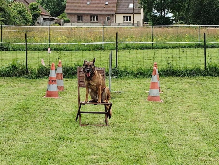 Gite Au Ptit Canin Moyenneville  Экстерьер фото
